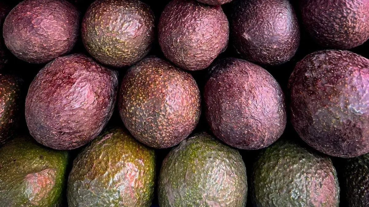 630104781_1382066483936582_4836873649366957622_n