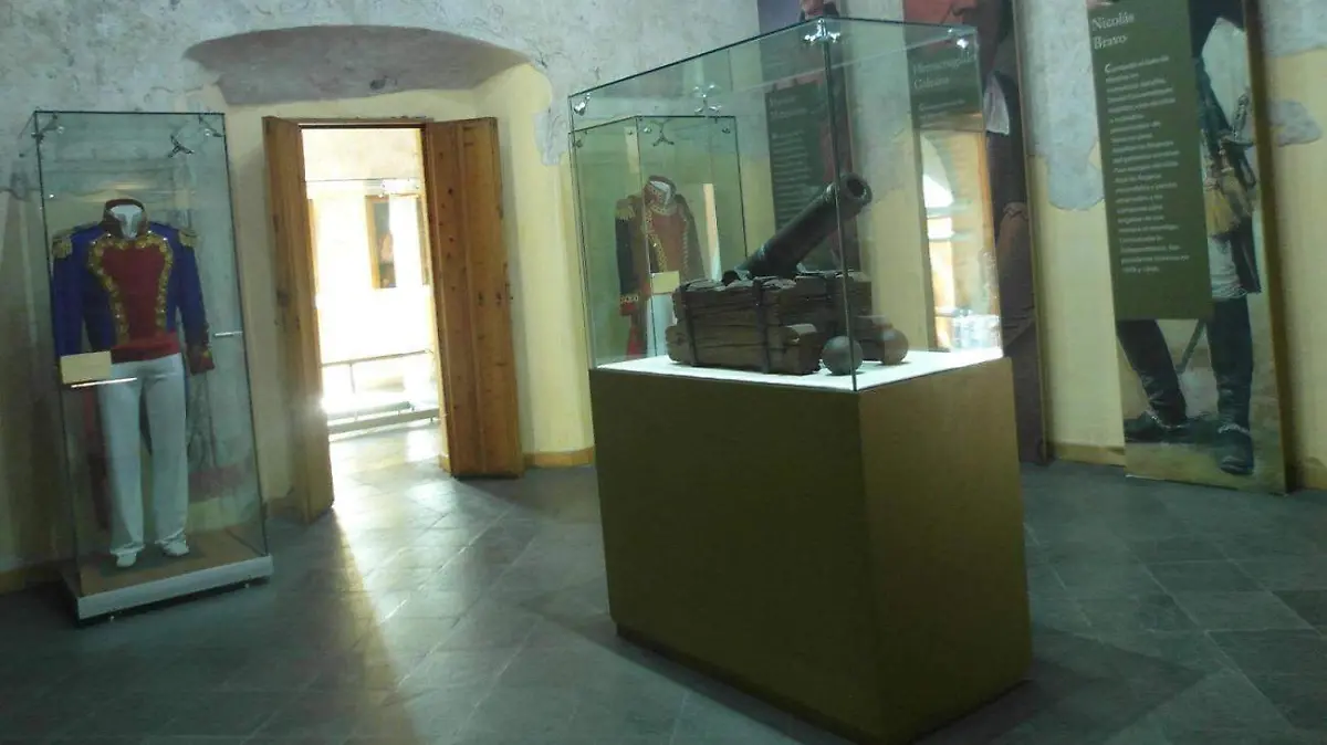 WhatsApp Image 2026-02-10 at 14.42.35