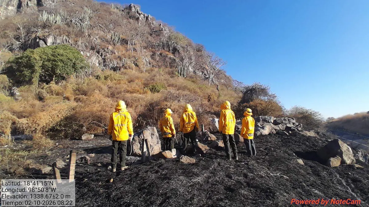 WhatsApp Image 2026-02-10 at 11.20.00