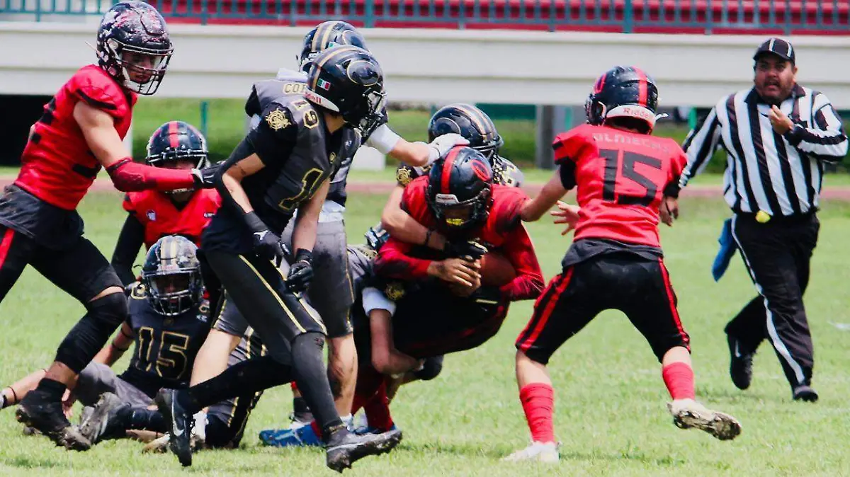 541427070_801682268868395_7887409265938617658_n