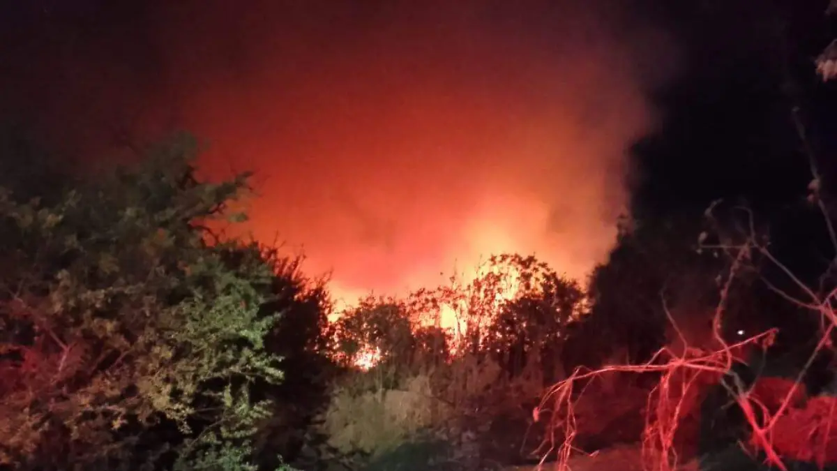 WhatsApp Image 2026-02-11 at 10.27.46