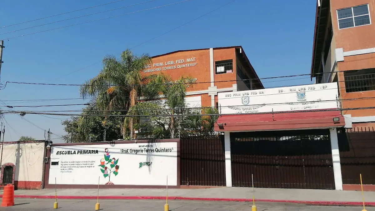 WhatsApp Image 2026-02-11 at 15.07.36