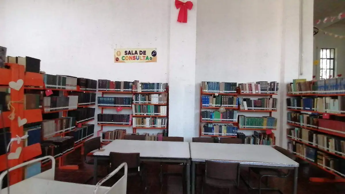 WhatsApp Image 2026-02-12 at 15.52.15