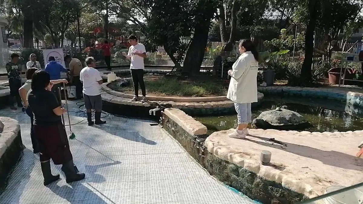 WhatsApp Image 2026-02-12 at 16.55.00