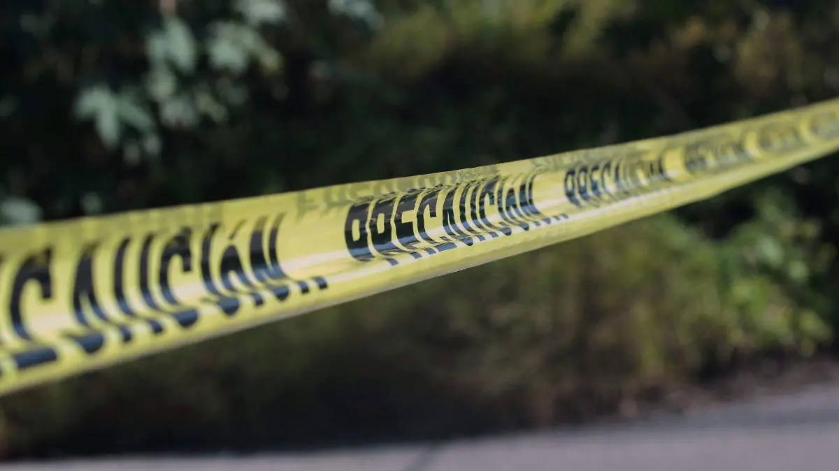 1038720_Xochitepec Embolsado_web