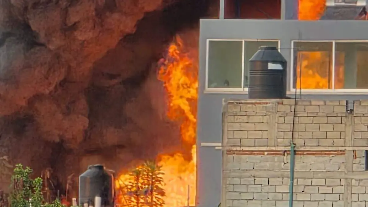 WhatsApp Image 2026-02-12 at 18.25.39