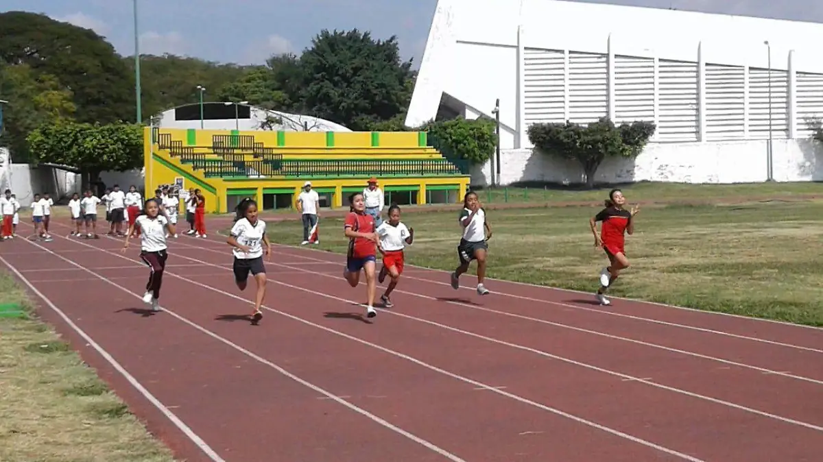 WhatsApp Image 2026-02-17 at 13.08.22