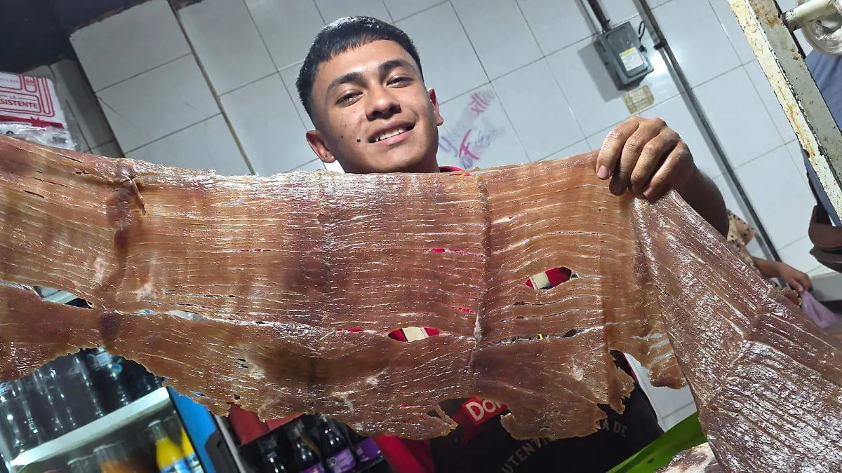 WhatsApp Image 2026-02-17 at 15.01.00