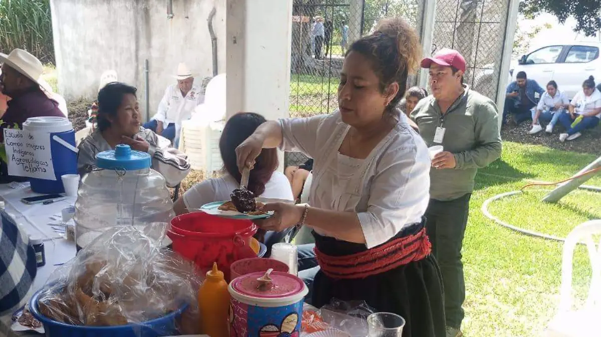 WhatsApp Image 2026-02-16 at 19.07.33