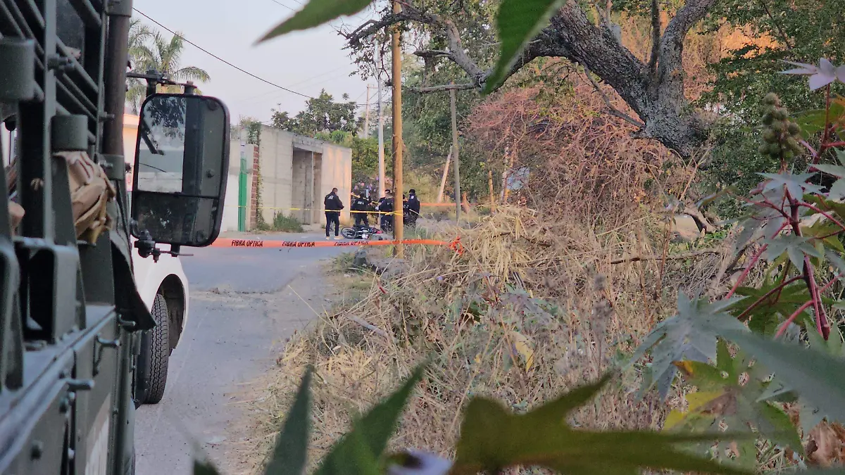 5b0a29ee-bd1c-46fa-8b7e-640d820638d4