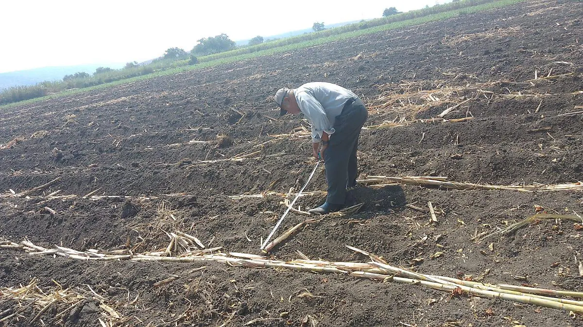 WhatsApp Image 2026-02-19 at 16.02.40