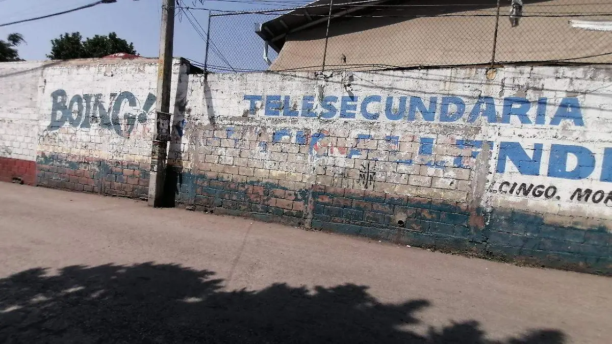 WhatsApp Image 2026-02-22 at 14.47.49