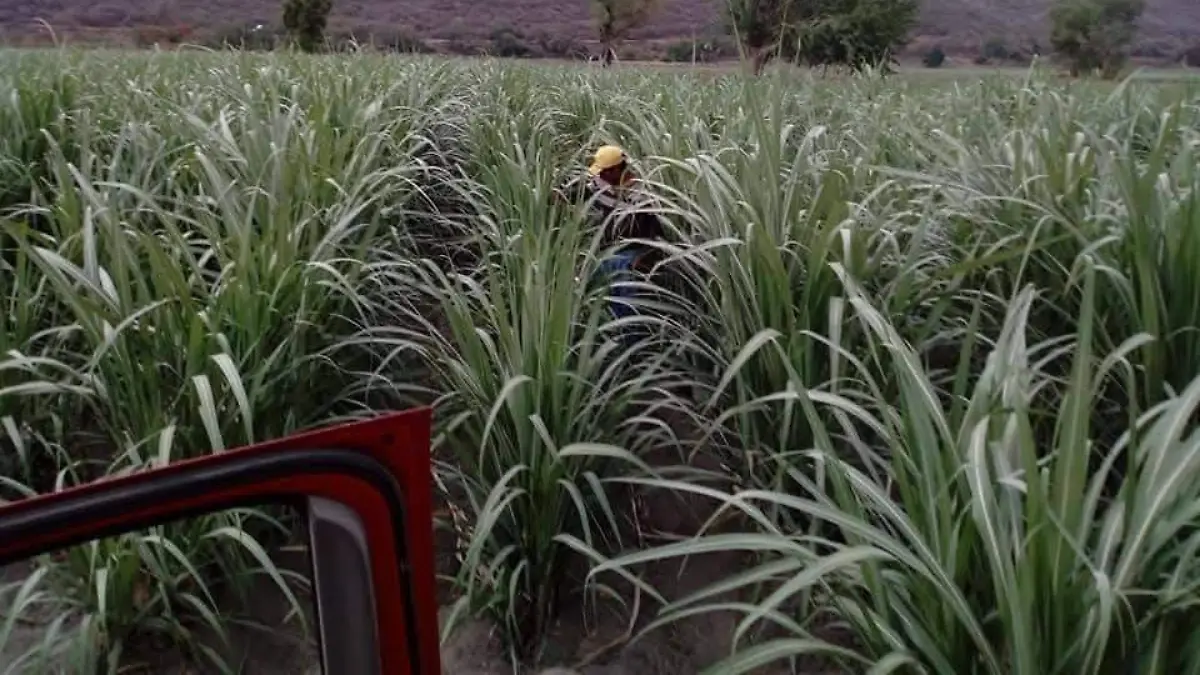 WhatsApp Image 2026-02-24 at 12.28.25