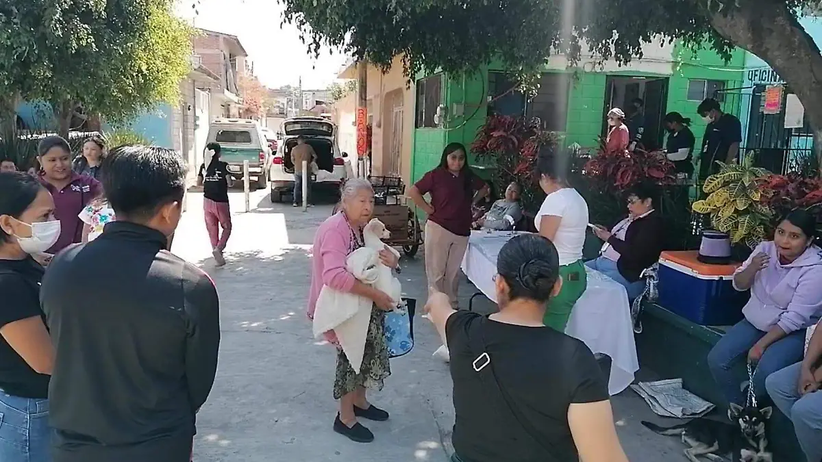 WhatsApp Image 2026-02-25 at 13.38.05