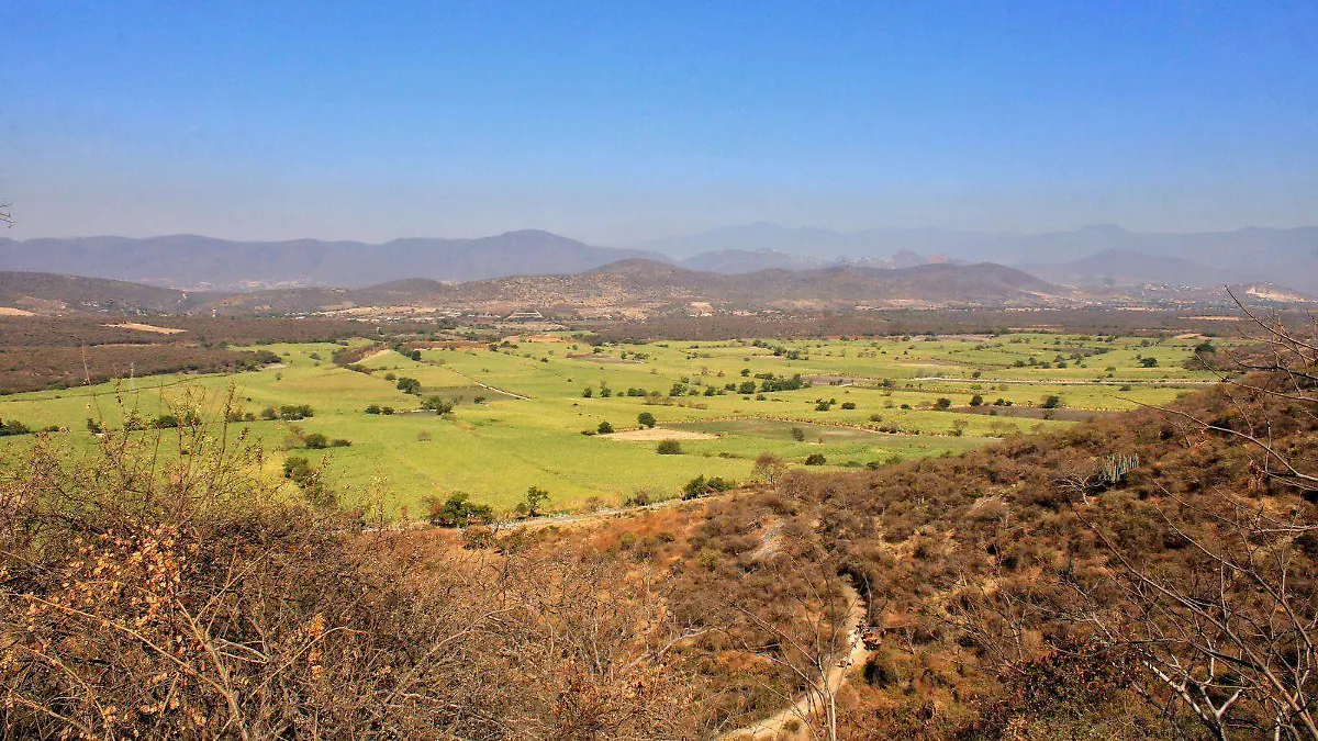 f8de7e31-6d94-4d92-bd3a-62aa936db91a