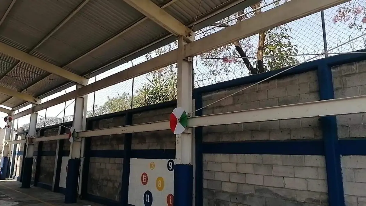 WhatsApp Image 2026-02-27 at 14.46.50