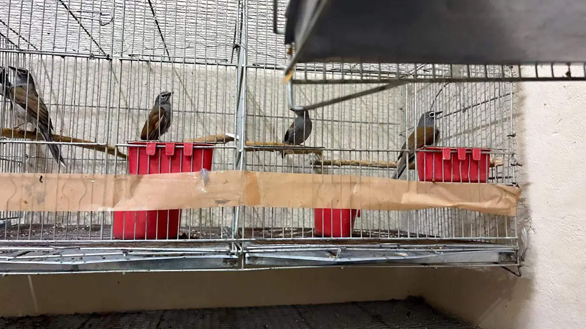 WhatsApp Image 2026-02-26 at 2.10.14 PM