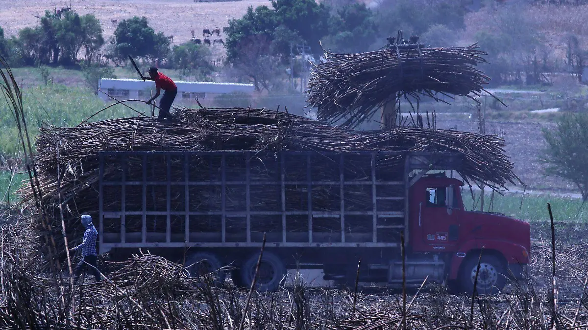 922433_Tlaquiltenango Campo Cañaveral Zafra_web