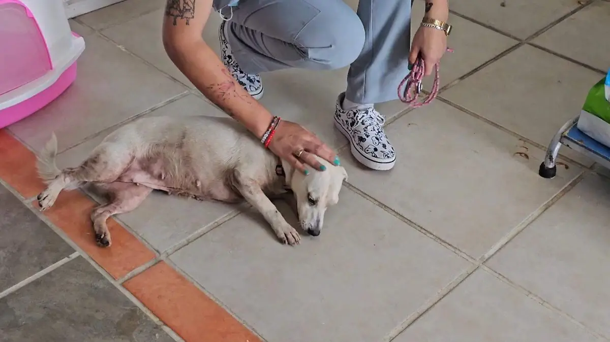 Screenshot_20260228_121849_Photos