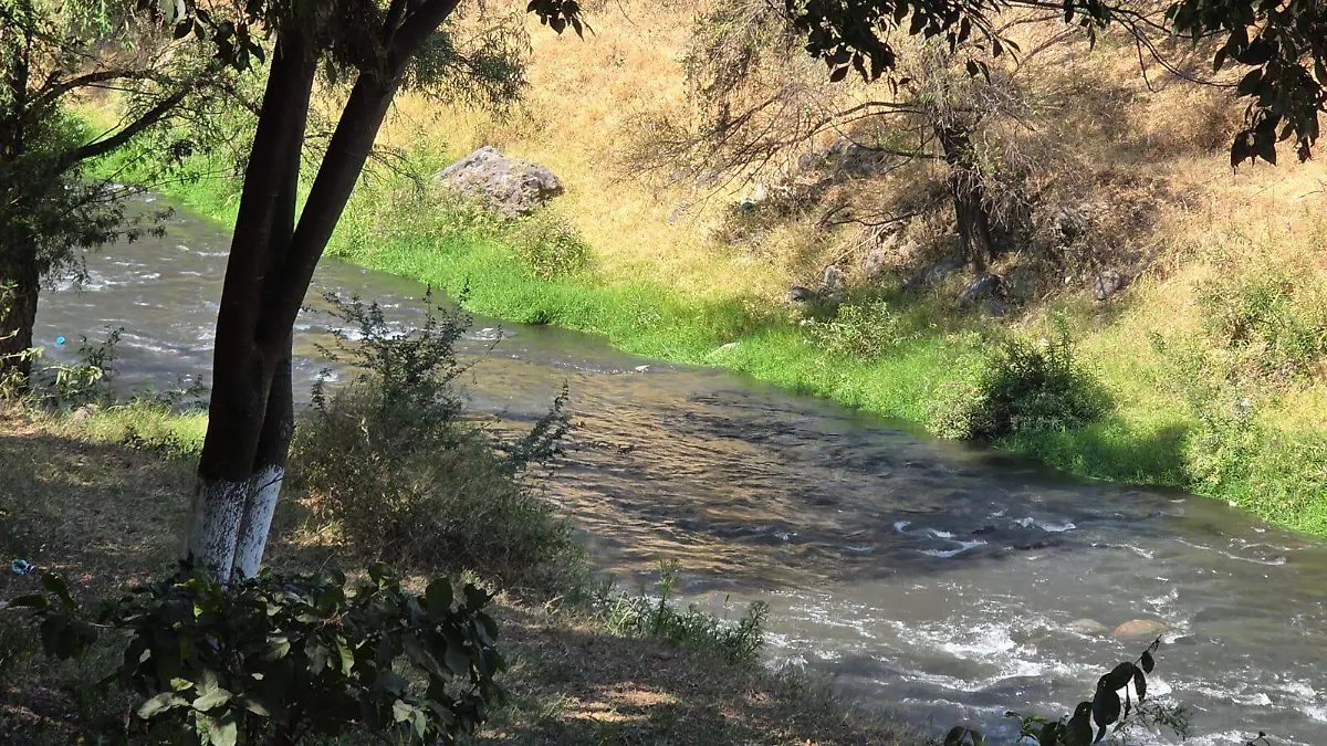 b6e5ce9c-0956-4600-a6df-8fc5229eff83