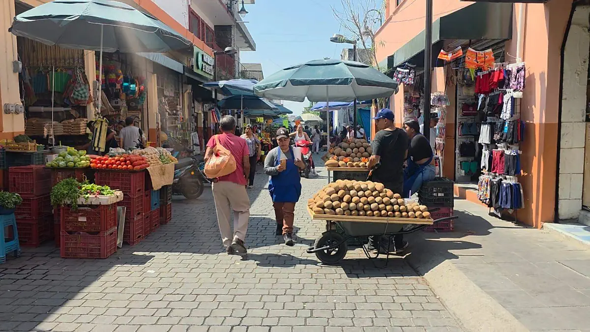 WhatsApp Image 2026-03-05 at 10.15.59 AM