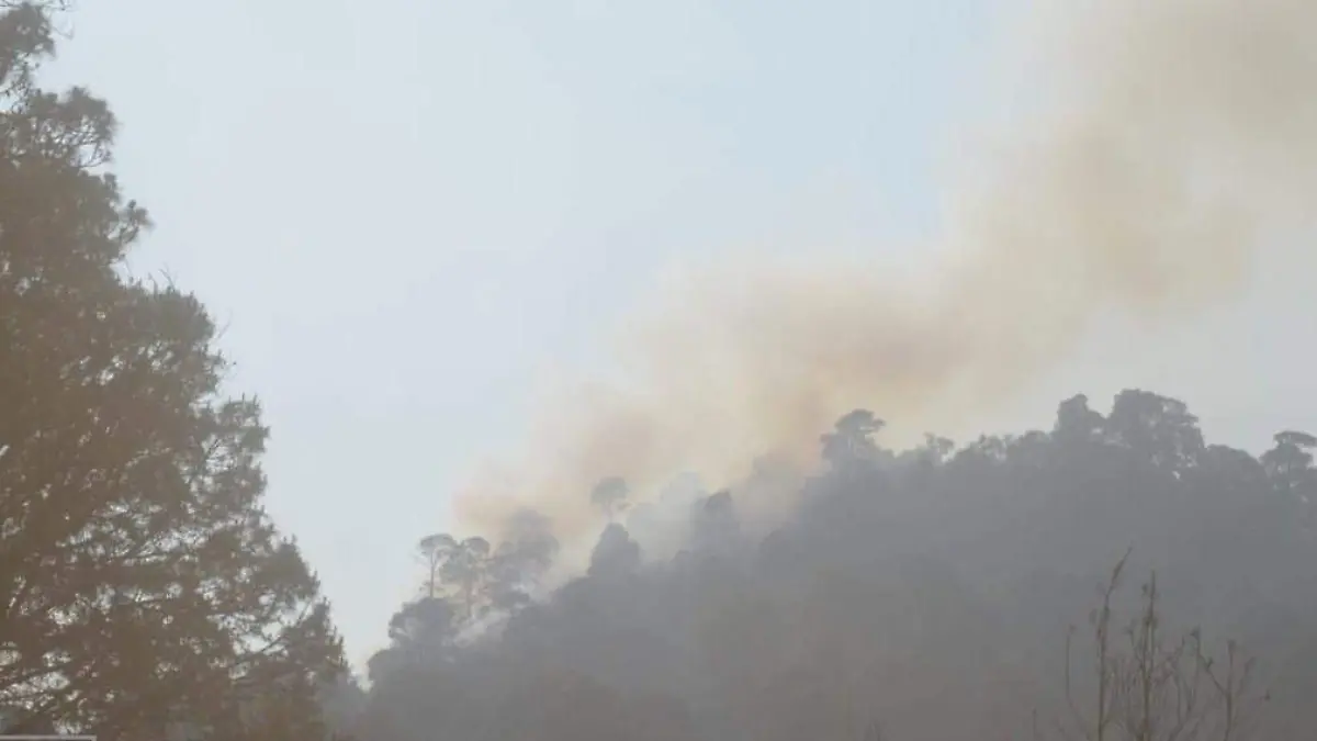 492148594_122124295370712373_7694813332780677210_n