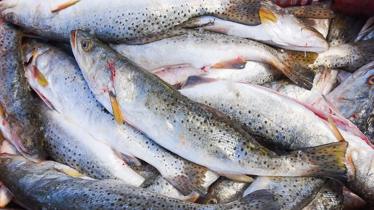 1070983_Campeche Pescadores_web