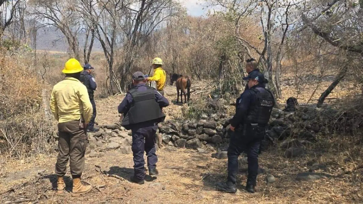 69ab50fc627df86302f5456d_a0f37e34-0a4f-4227-9d94-20c1bf7c31f8 (2)