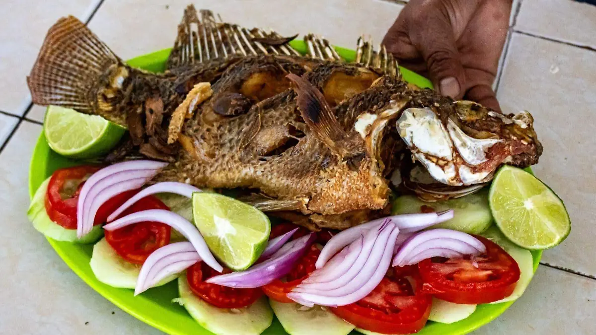 69af46976bd32dfda1eff735_a0f8673f-ea0c-43ec-967f-ae2e6da3c7cb