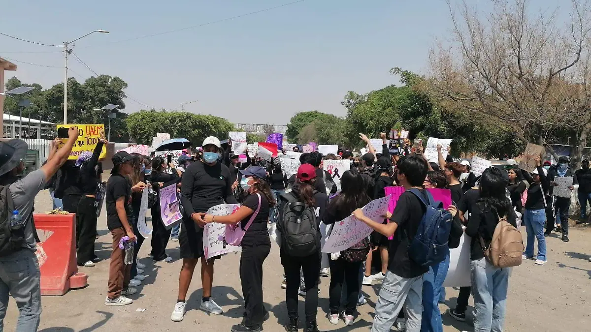 WhatsApp Image 2026-03-10 at 14.16.54