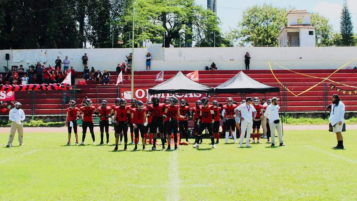 541438043_801682128868409_6360054139330939676_n