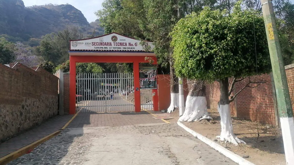 WhatsApp Image 2026-03-11 at 14.56.22