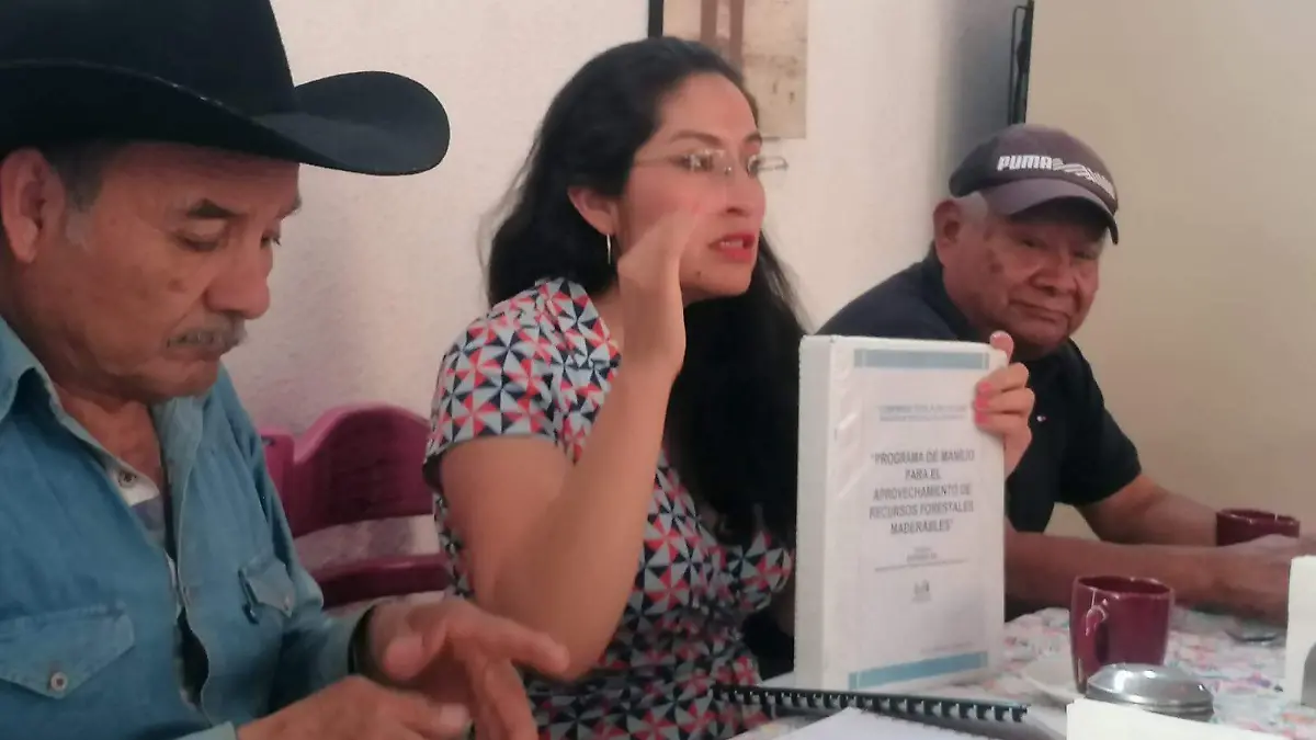 WhatsApp Image 2026-03-12 at 13.44.26