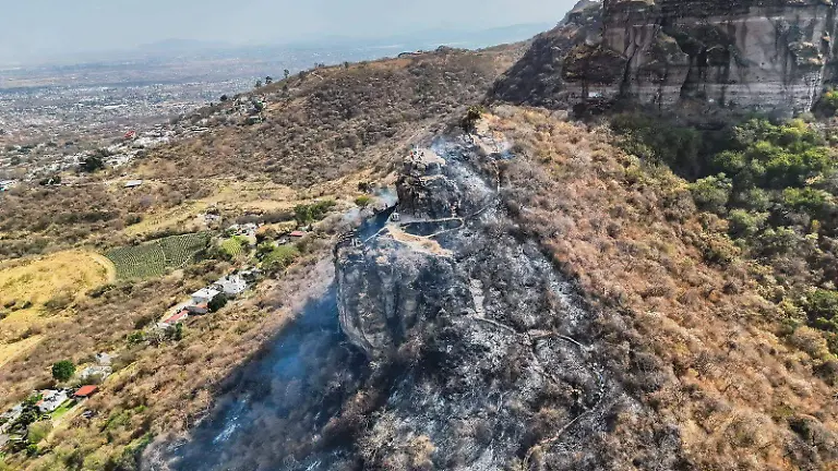 1830134c-5be6-4d28-b45f-382530635548