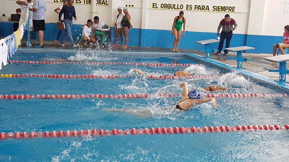 36869725_1707612662692461_4905500028157558784_n