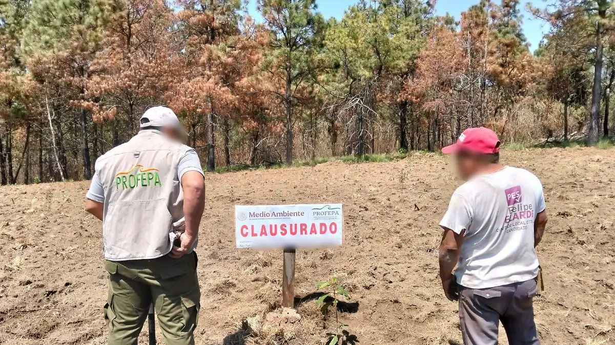 WhatsApp Image 2026-03-12 at 8.44.44 PM