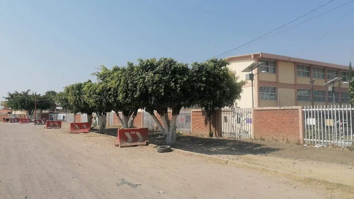 WhatsApp Image 2026-03-13 at 16.24.15