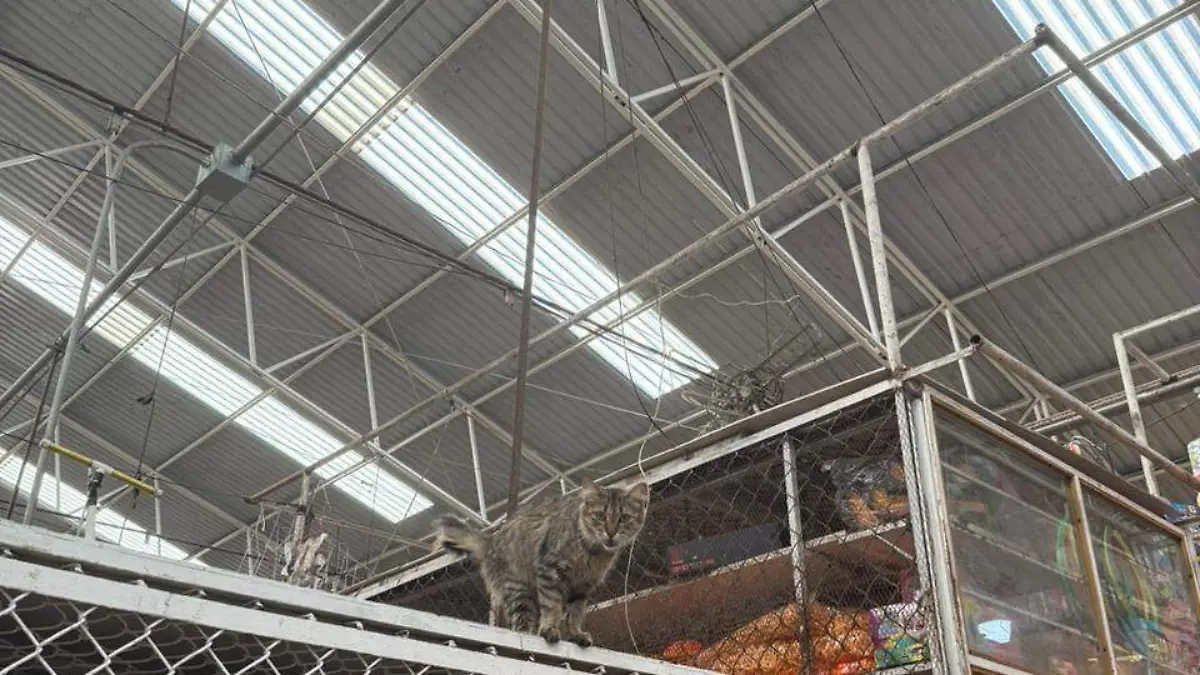 WhatsApp Image 2026-03-16 at 09.59.08