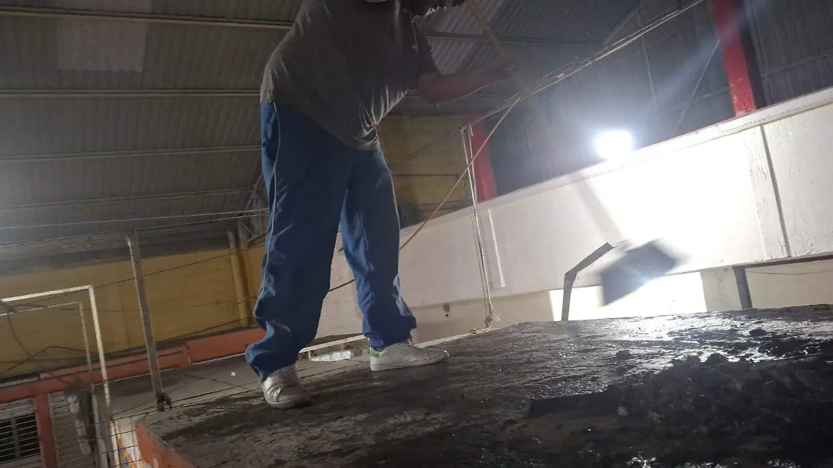 WhatsApp Image 2026-03-18 at 09.46.51