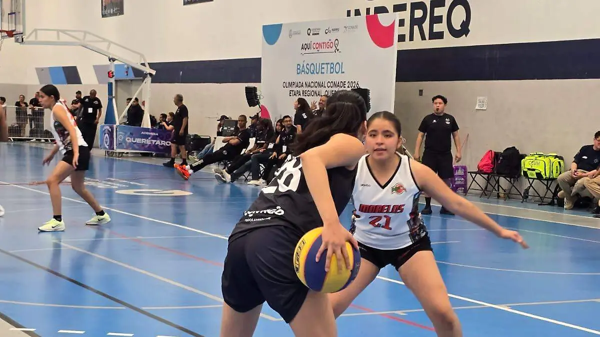 WhatsApp Image 2026-03-18 at 16.36.38 (1)