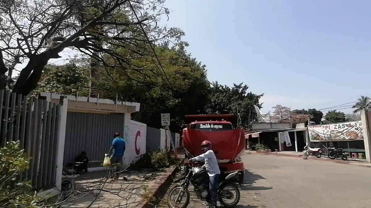 WhatsApp Image 2026-03-18 at 17.39.30