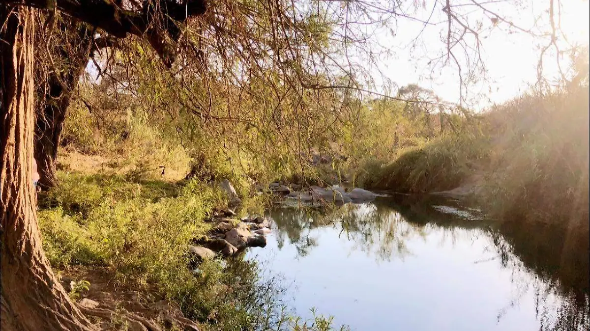 480303935_967530168688896_5049139586068369285_n