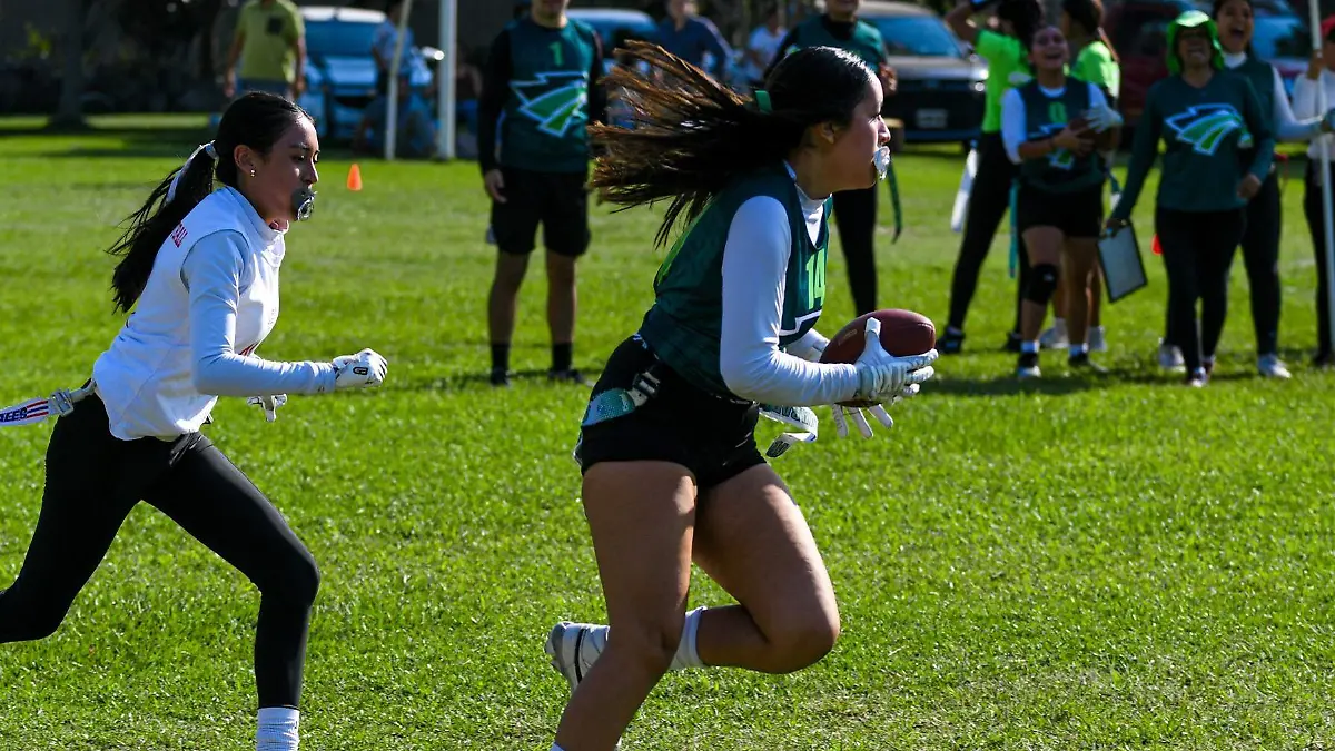 650290686_1536466988481355_3925039368762589407_n