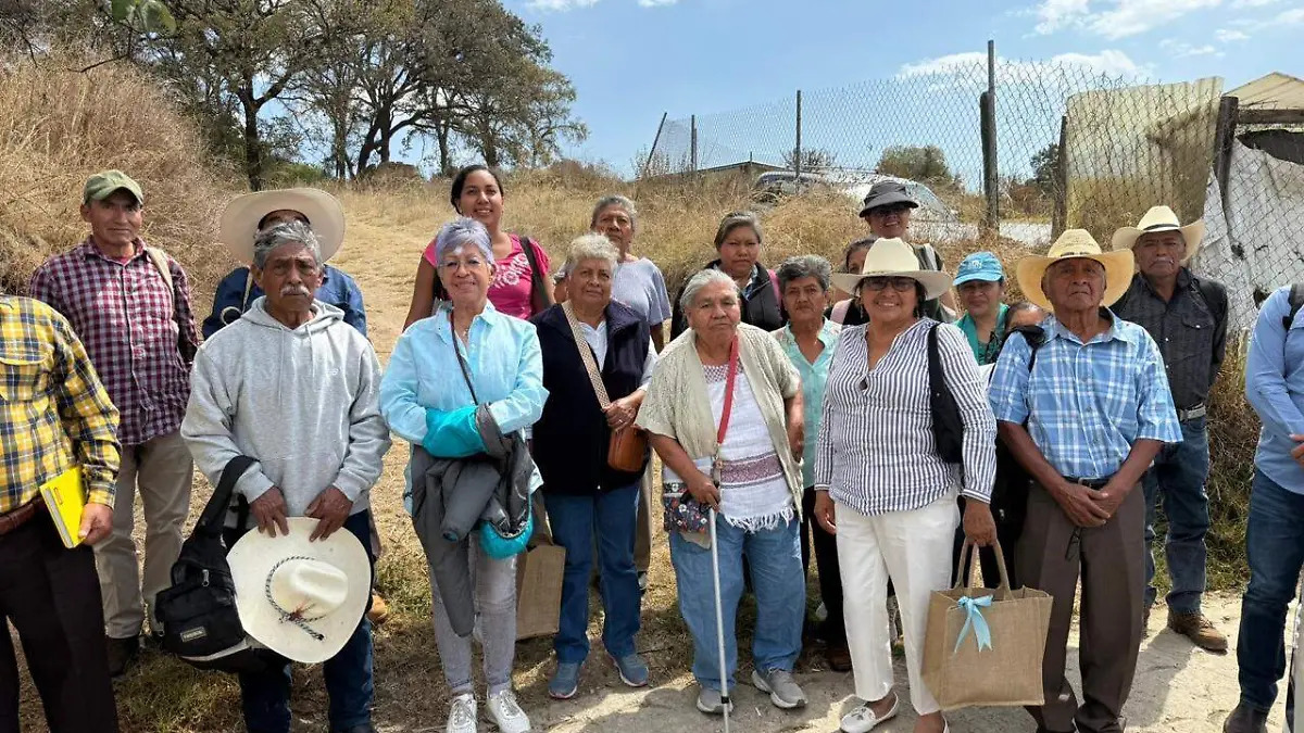 WhatsApp Image 2026-03-19 at 20.51.43