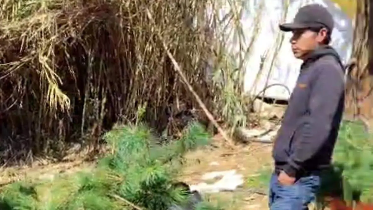 WhatsApp Image 2026-03-22 at 16.57.45