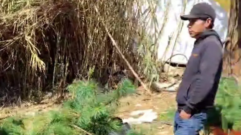 WhatsApp Image 2026-03-22 at 16.57.45