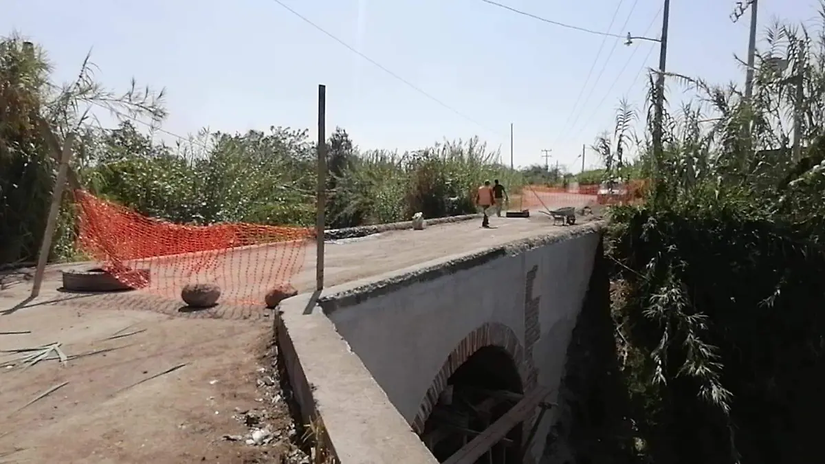 WhatsApp Image 2026-03-22 at 19.08.33