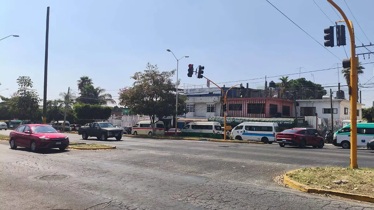 WhatsApp Image 2026-03-25 at 16.36.46