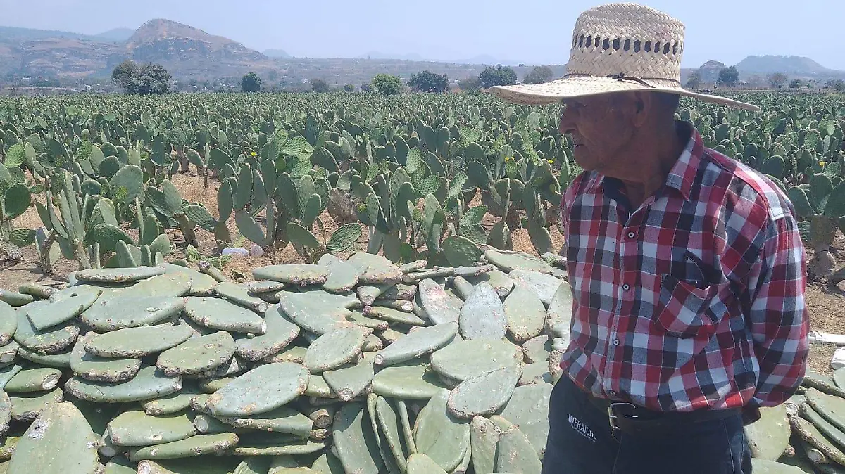 WhatsApp Image 2026-03-26 at 14.44.32 (1)