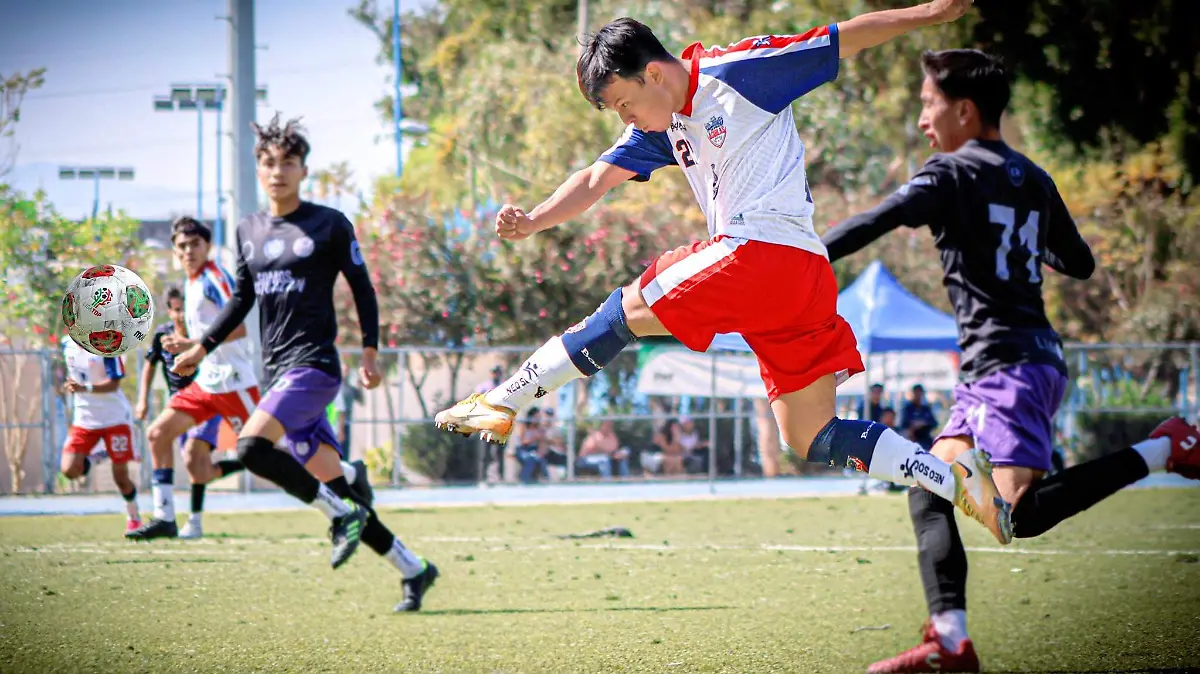 641192017_1208222121525460_2773746125018126721_n